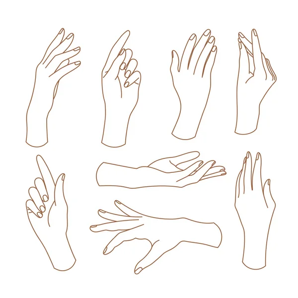 Набір Тонких Жіночих Рук Модному Лінійному Стилі Жіночі Руки Різних — стоковий вектор