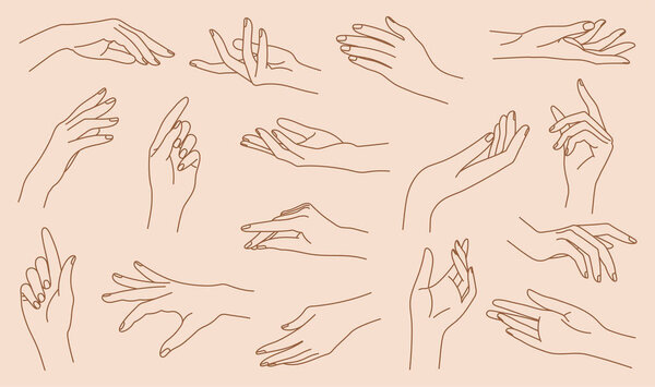 Set of delicate women's hand in trendy linear style. Female hands in various gestures. Vector linear boho icon illustrations. Branding.