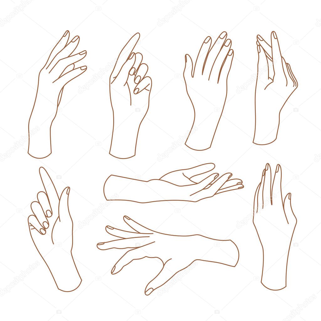 Set of delicate women's hand in trendy linear style. Female hands in various gestures. Vector linear boho icon illustrations. Branding.