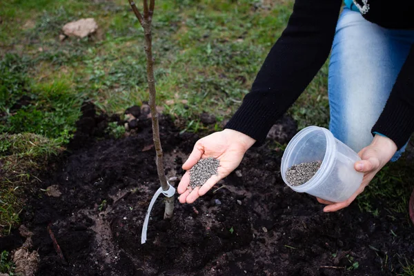 Uso Abono Orgánico Natural Saproel Agricultura Jardinería Para Suministrar Nutrientes — Foto de Stock