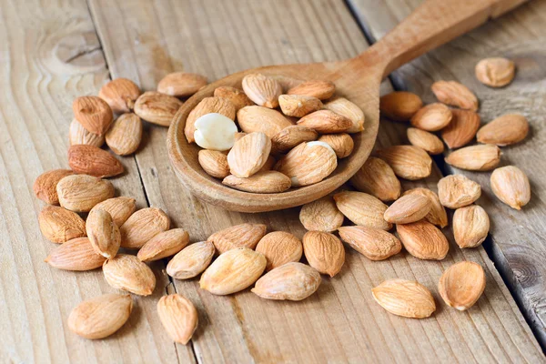 Noccioli di albicocche su fondo di legno — Foto Stock