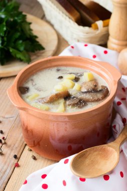 Mantar ve ekşi krema ile geleneksel Rus patates çorbası