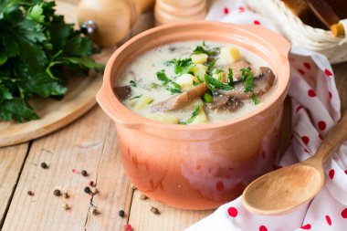 Mantar ve ekşi krema ile geleneksel Rus patates çorbası