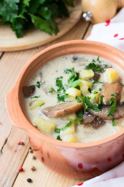 Mantar ve ekşi krema ile geleneksel Rus patates çorbası