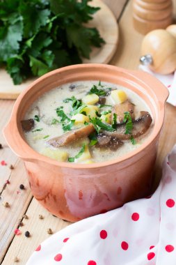 Mantar ve ekşi krema ile geleneksel Rus patates çorbası
