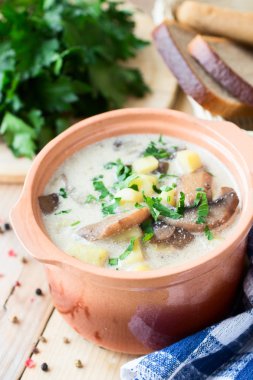 Mantar ve ekşi krema ile geleneksel Rus patates çorbası