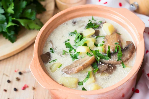 Традиционный русский картофельный суп с грибами и сметаной — стоковое фото