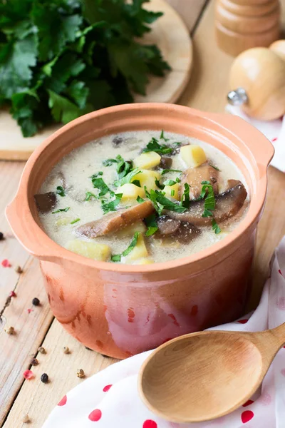 Традиционный русский картофельный суп с грибами и сметаной — стоковое фото