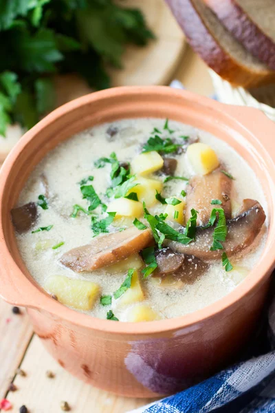 Sopa de batata russa tradicional com cogumelos e nata azeda — Fotografia de Stock