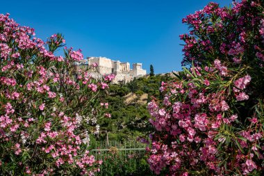 Atina 'nın 2020 baharındaki Yunanistan manzarası