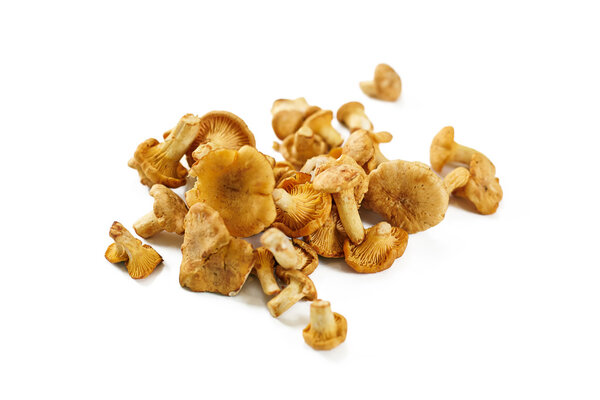 a heap of mushrooms