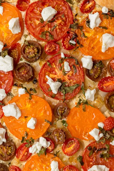 Tomatoes tart with cottage cheese — Stock Photo, Image