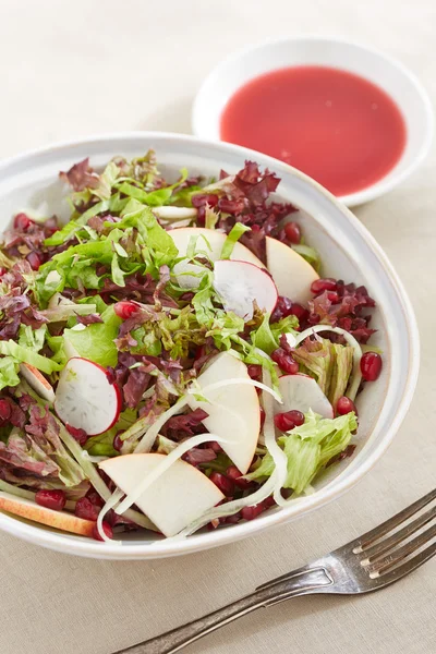 Uma chapa de salada vegetariana — Fotografia de Stock