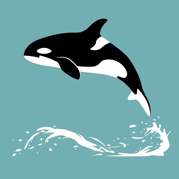 Orca en el agua. Ballena asesina salta del agua — Vector de stock