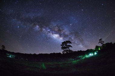 Silhouette of Pine Tree and Milky Way at Phu Hin Rong Kla clipart