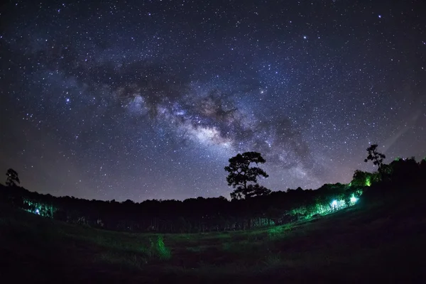 Silueta de pin și Calea Lactee la Phu Hin Rong Kla — Fotografie, imagine de stoc