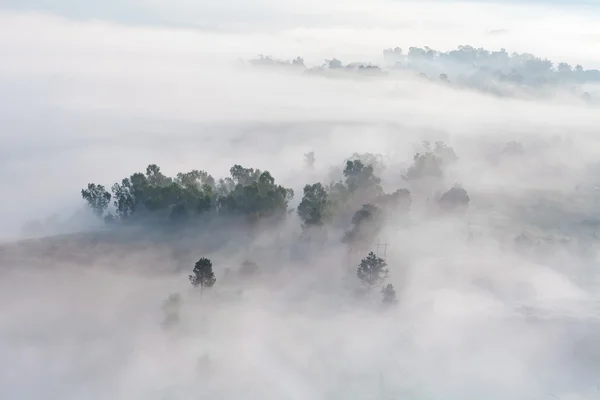 Mgła w lesie w Khao Takhian punktu widzenia organizacji pozarządowych, Khao kho — Zdjęcie stockowe