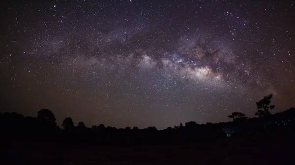 Silhouette di Albero con nube e Via Lattea a Phu Hin Rong Kla — Foto Stock