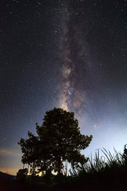 The Milky Way above the shadow of a tree,Long exposure photograph clipart