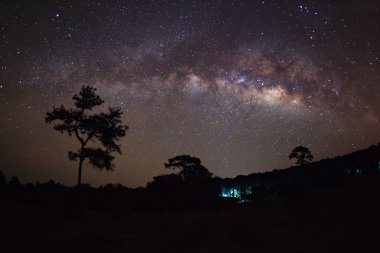 Bulut ve Samanyolu Phu Hin Rong Kla adlı ağacın siluet 
