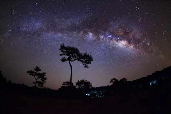 Silhuett av trädet och Vintergatan på nationalparken Phu Hin Rong Kla — Stockfoto