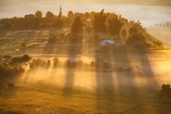 Nebliger morgendlicher Sonnenaufgang am khao takhian ngo Aussichtspunkt bei khao-kho — Stockfoto