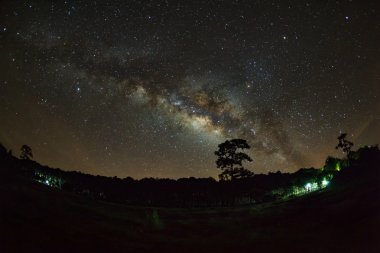 Silhouette ağaç ve Samanyolu Phu Hin Rong Kla Milli Parkı