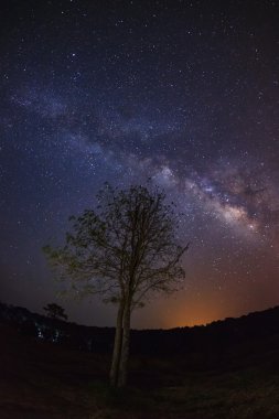 Silhouette ağaç ve Samanyolu Phu Hin Rong Kla Milli Parkı