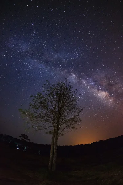 Silhouette ağaç ve Samanyolu Phu Hin Rong Kla Milli Parkı