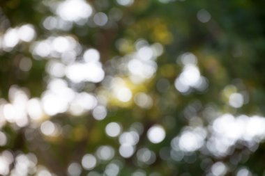 Dairesel bokeh arka plan aydınlık