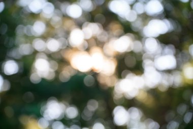 Dairesel bokeh arka plan aydınlık