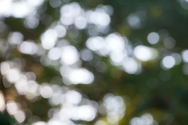 Résumé fond circulaire bokeh de lumière — Photo