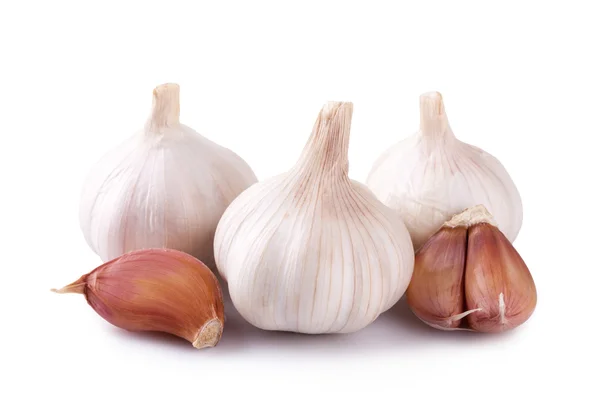 Frischer Knoblauch isoliert auf weißem Hintergrund — Stockfoto