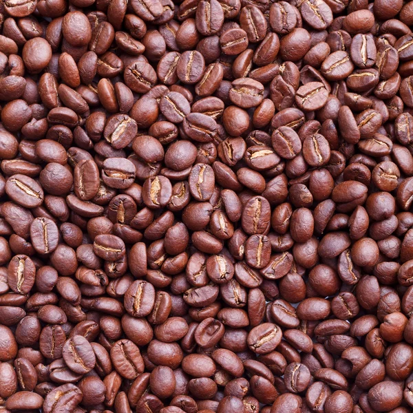 Grains de café texture fond — Photo