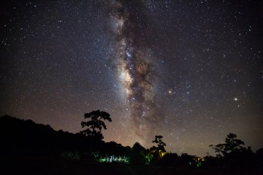 Ağaç ve bir gece gökyüzü üzerinde güzel milkyway silüeti. Uzun e