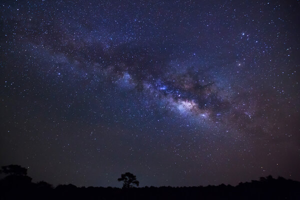 Силуэт дерева с облаком и Млечный Путь в Фу Хин Жун Кла
 