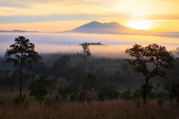 Nebuloso amanecer en la montaña en el Parque Nacional Thung Salang Luang — Foto de Stock