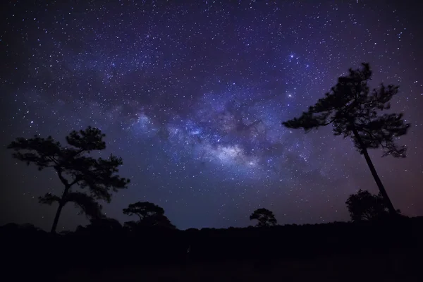 Milky Way at Phu Hin Rong Kla National Park,Phitsanulok Thailand — Stock Photo, Image