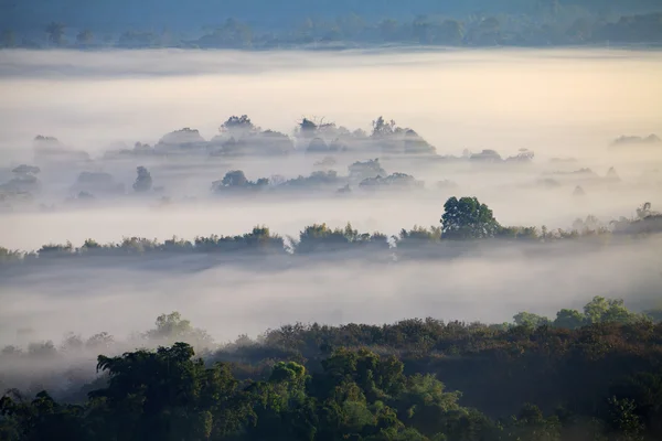 Туман в лісі в Khao kho Phetchabun, Таїланд — стокове фото