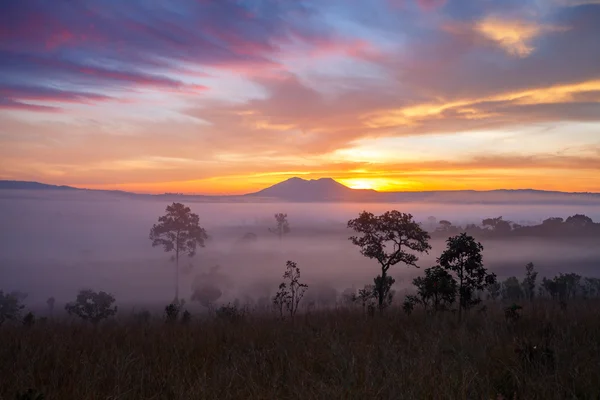 Misty morning sunrise at Thung Salang Luang National Park Phetchabun — Stock Photo, Image