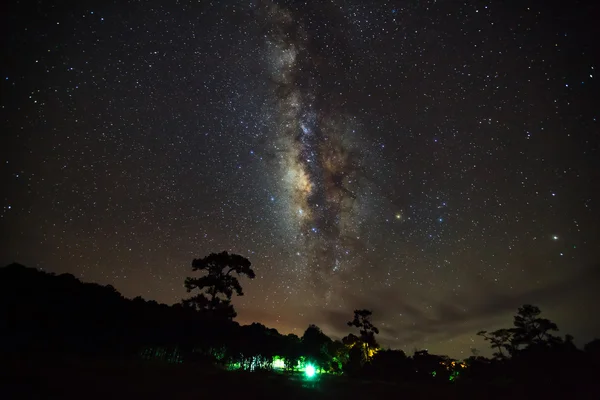 Silhueta de Árvore com nuvem e Via Láctea em Phu Hin Rong Kla — Fotografia de Stock