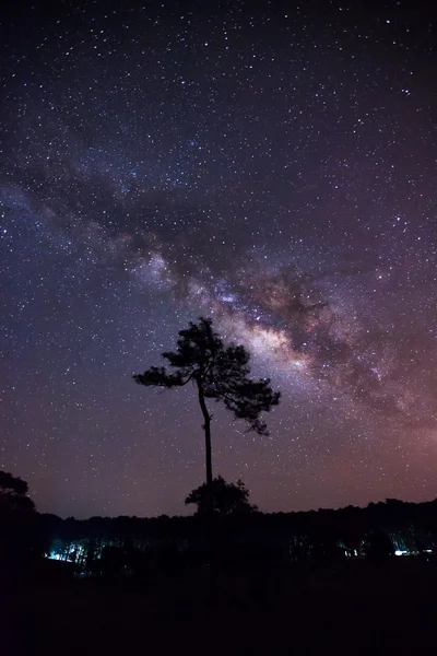 Vintergatan och silhuetten av träd — Stockfoto