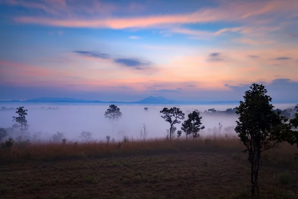 Nebliger Morgensonnenaufgang im Thung Salang Luang Nationalpark Phetchabun — Stockfoto