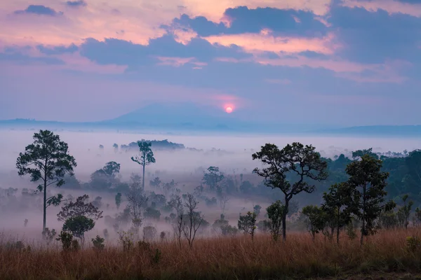 Misty morning sunrise at Thung Salang Luang National Park Phetch — Stock Photo, Image