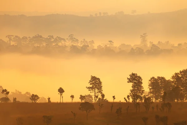 Mulk Salang Luang Milli Parkı: Phetchabun puslu sabah güneş doğarken — Stok fotoğraf