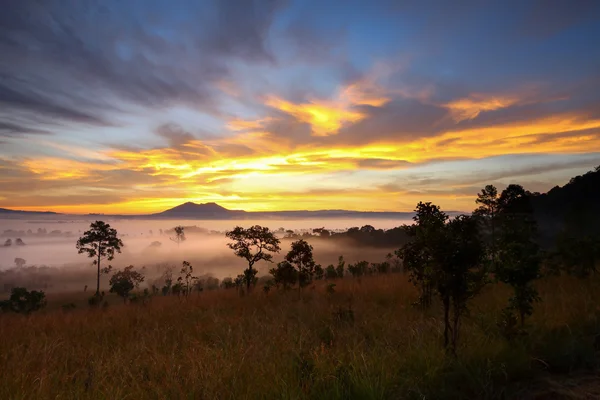 Dramatik gökyüzü ve Mulk Salang Luang Milli Parkı: Phetchabun puslu sabah güneş doğarken — Stok fotoğraf