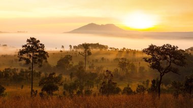 Mulk Salang Luang Milli Parkı: Phetchabun puslu sabah güneş doğarken