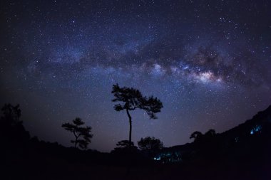 Ağaç ve Samanyolu Phu Hin Rong Kla Ulusal Pa, silüeti