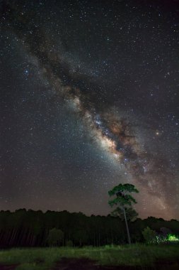 Samanyolu ve Tree.Long siluet pozlama fotoğraf