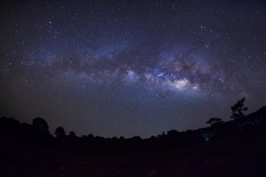 Samanyolu ve Tree.Long siluet pozlama fotoğraf